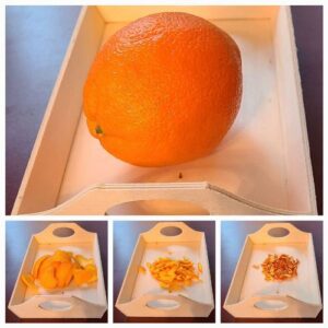 Progression of full orange to dried orange peel