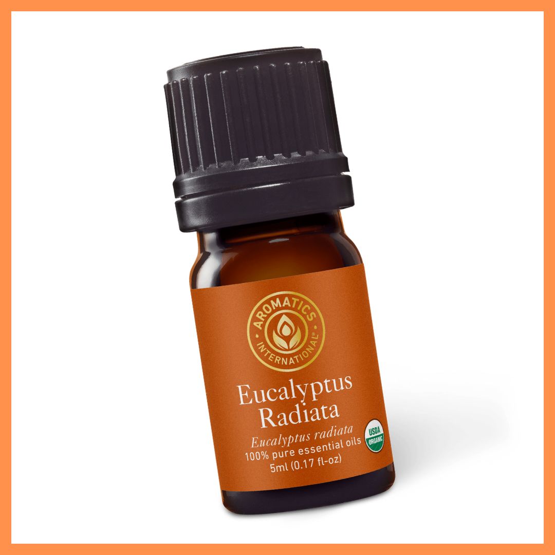 Eucalyptus radiata essential oil from Aromatics International