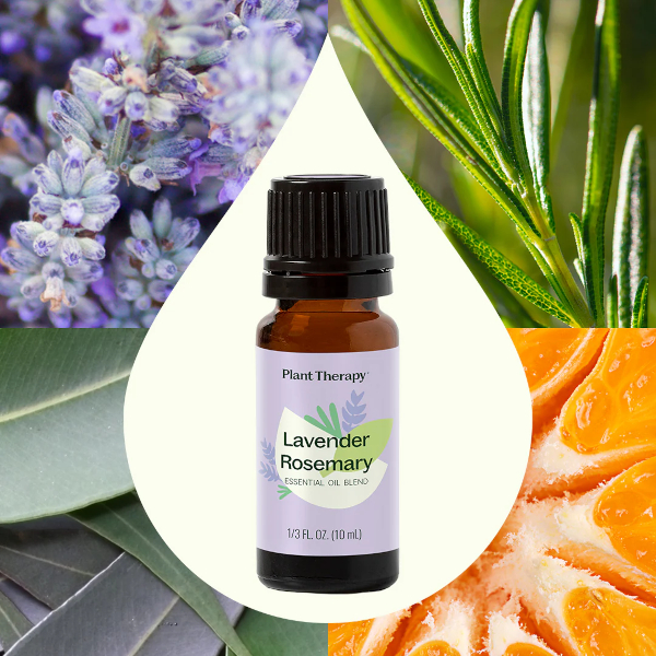 Plant Therapy's Lavender Rosemary essential oil blend