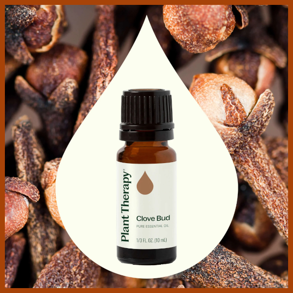Clove Bud essential oil from Plant Therapy