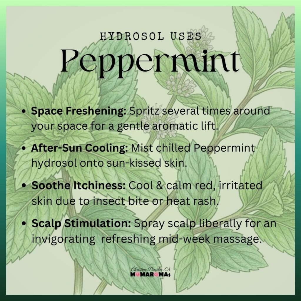 Uses for peppermint hydrosol sprig of peppermint in the background
