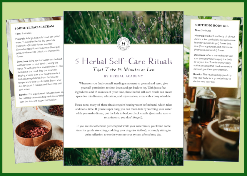 15 minute Self Care Rituals guide from Herbal Academy