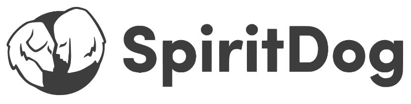 SpiritDog Training with Steffi Trott