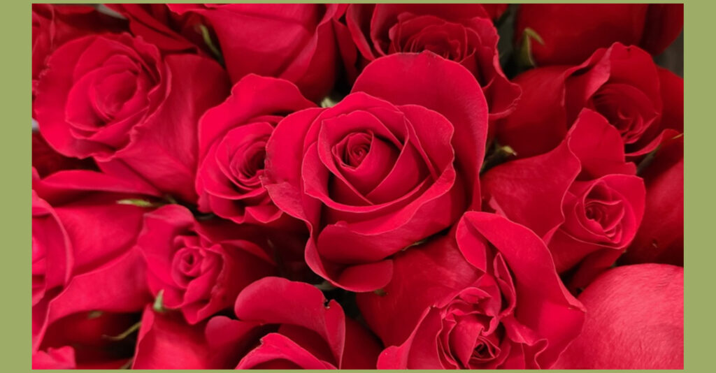 A Dozen Ways to Use the Rose in Your Life on MOMAROMAs