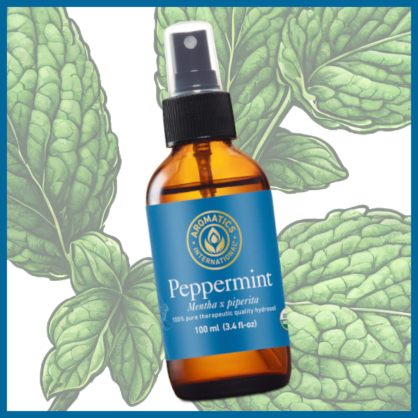 Peppermint hydrosol from Aromatics International