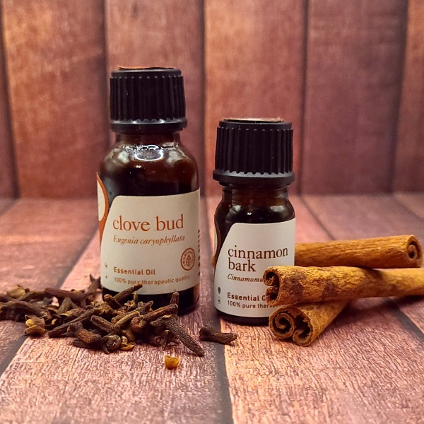 Bottles of Clove and Cinnamon bark essential oil and herbs an a wood surface