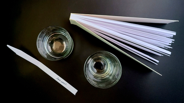 Bird's eye view of a booklet of perfume aroma testing strips, a single testing strip, and two fluted shot glasses