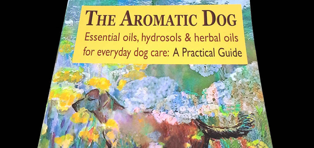 The Aromatic Dog by Nayana Morag
