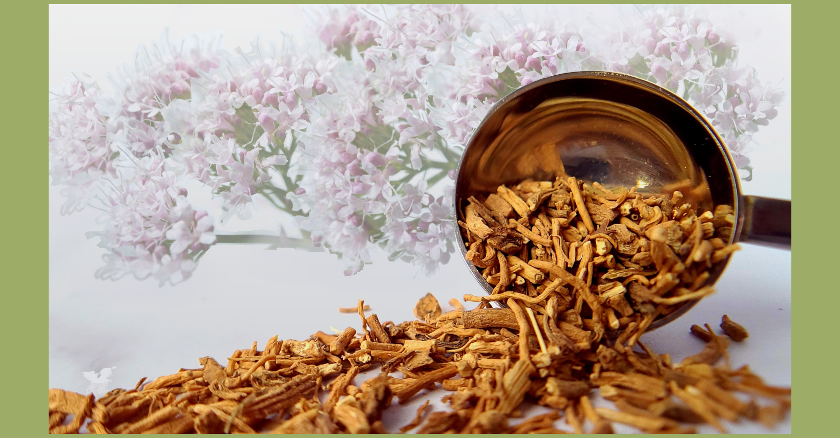 Valerian Root Essential Oil To Help You Sleep Better   ValerianSleepFB 