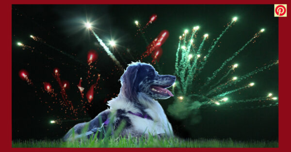 Fear-Less Fourth of July Diffuser Blend on MOMAROMAs