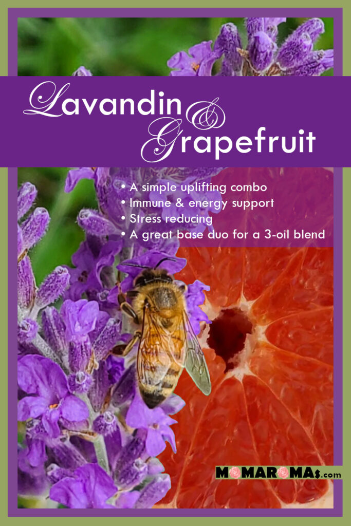 Lavandin Grapefruit duet - Pin to Pinterest