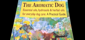 B9ok cover of The Aromatic Dog by Nayana Morag