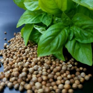 Fresh basil leaves and dried coriander seeds