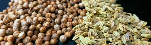 Dried coriander and fennel seeds