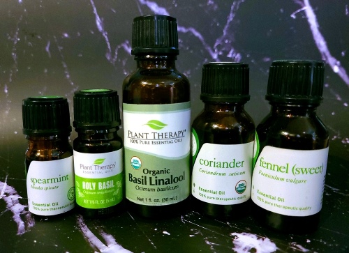 Essential Oils of spearmint, holy basil, sweet basil, coriander, and sweet fennel.