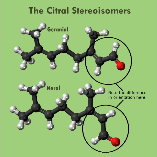 Ball and stick atomic representations of the chemicals Geranial and Neral.
