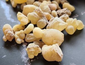 Frankincense resin tears; the essential oil is distilled from the resin