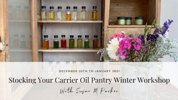 Stock Your Carrier Oil Pantry with Susan Parker