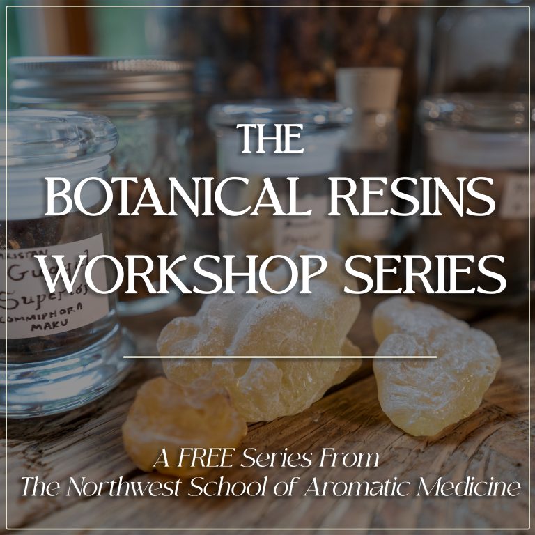 Botanical Resins & Gums workshop series