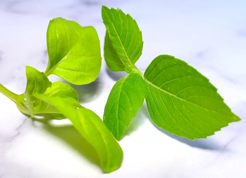 Sweet Basil and Tulsi are great additions to both herbal and essential oil energy cleanse blends