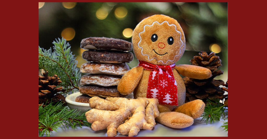 A History of Gingerbread on Mom's Blog Shelf