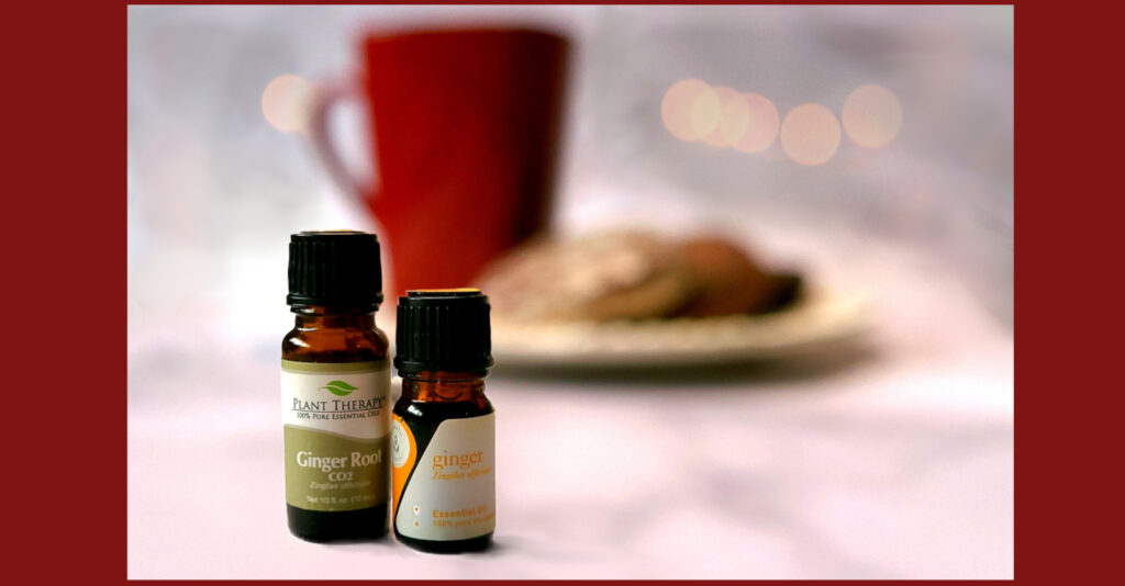 Warm Ginger Cookies Essential Oil Blend