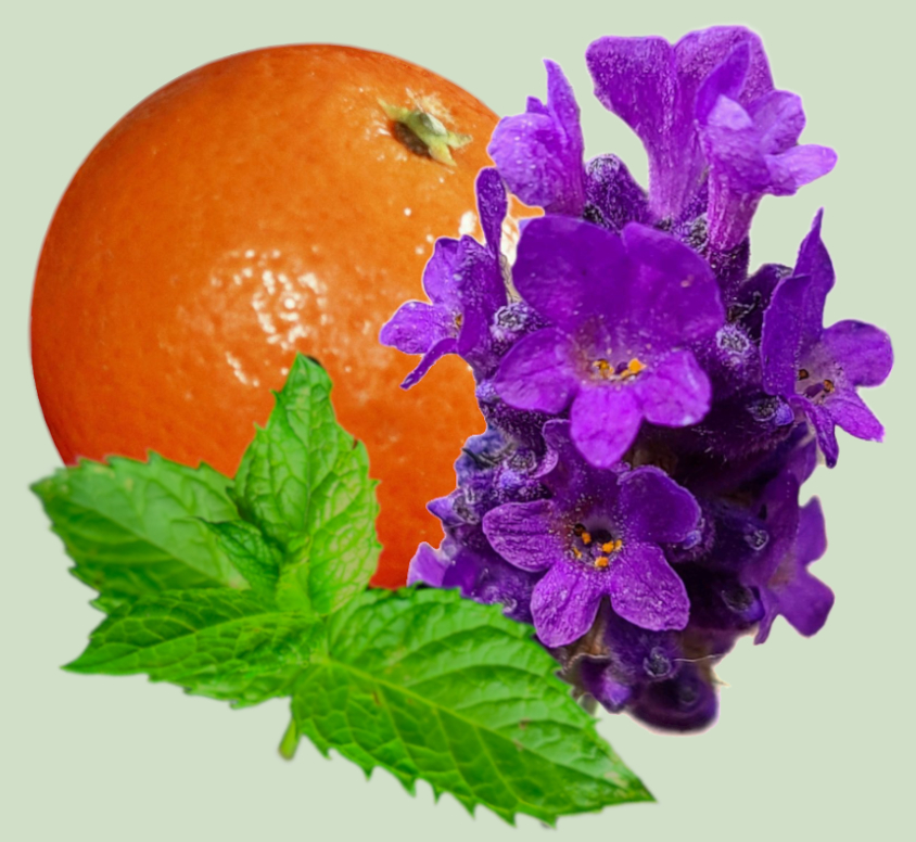 Refreshing Summer Heat essential oil blend ingredients