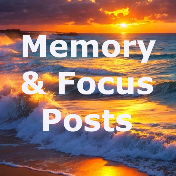 Memory & Focus Posts