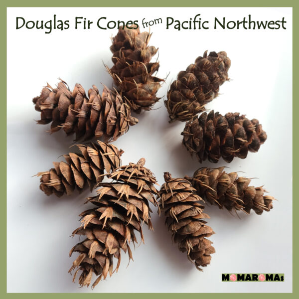 Douglas Fir Cones from MOMAROMAs on Etsy