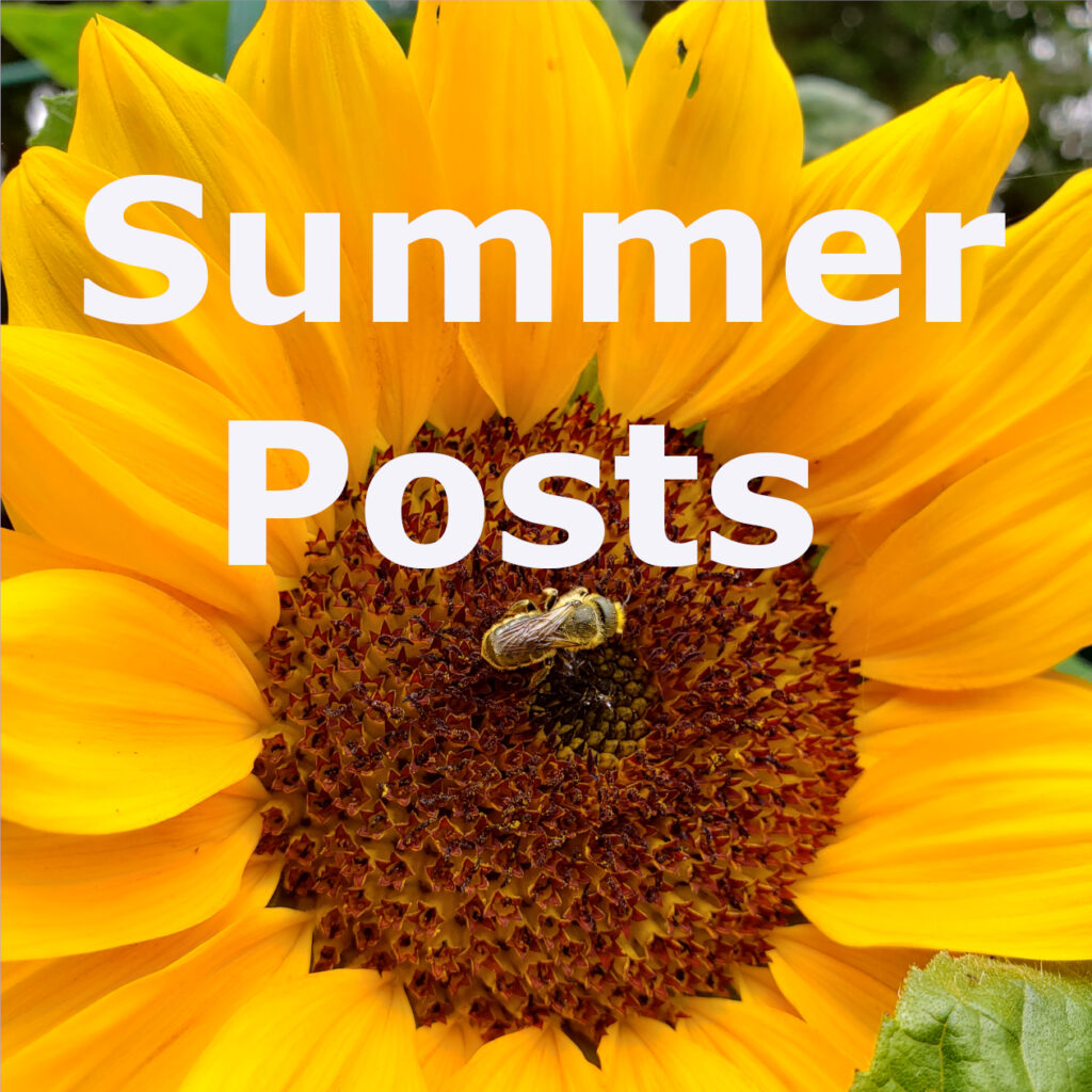 SummerLinks - MOMAROMAs: Your Guide to Aromatherapy, DIY Essential Oils, and Natural Wellness Summer blog posts