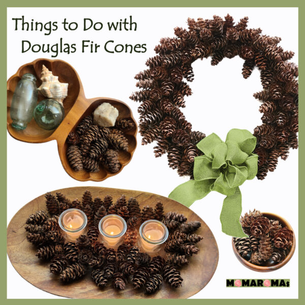 Douglas Fir Cones from MOMAROMAs on Etsy