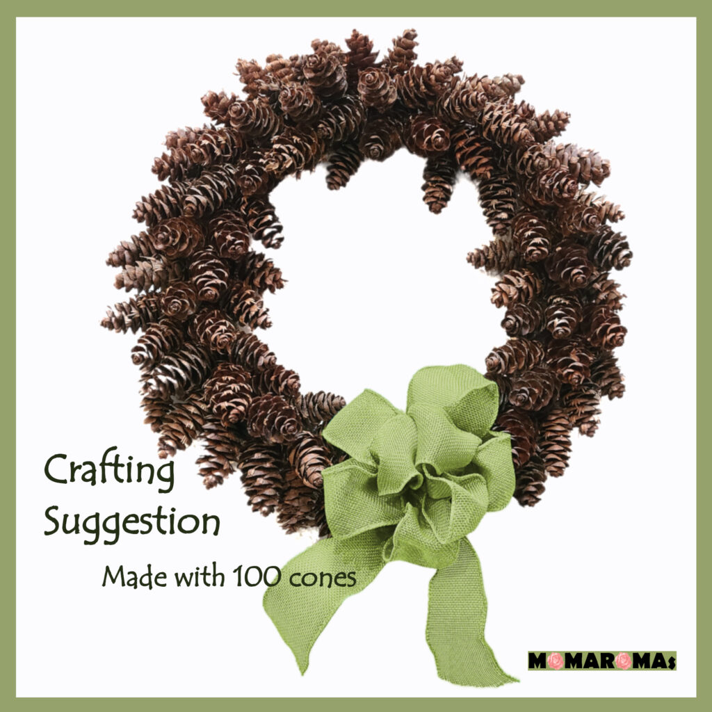 Douglas Fir Cone wreath with link to Etsy source