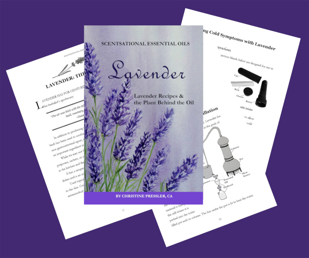 Lavender Recipes & the Plant Behind the Oil by Christine Pressler