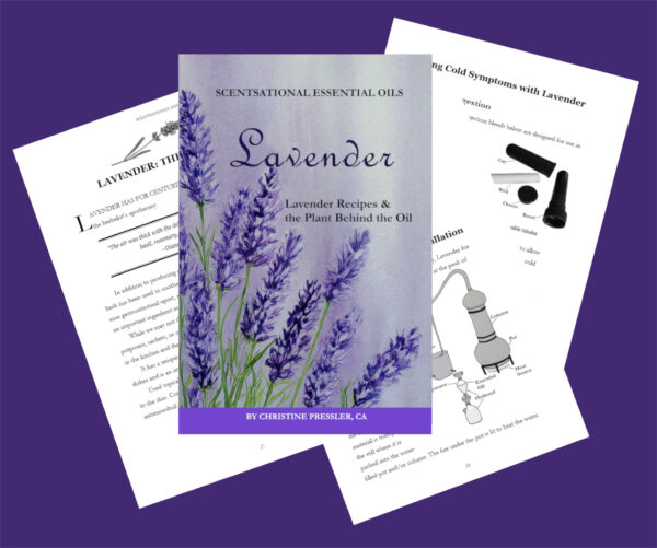 Lavender Recipes & the Plant Behind the Oil by Christine Pressler