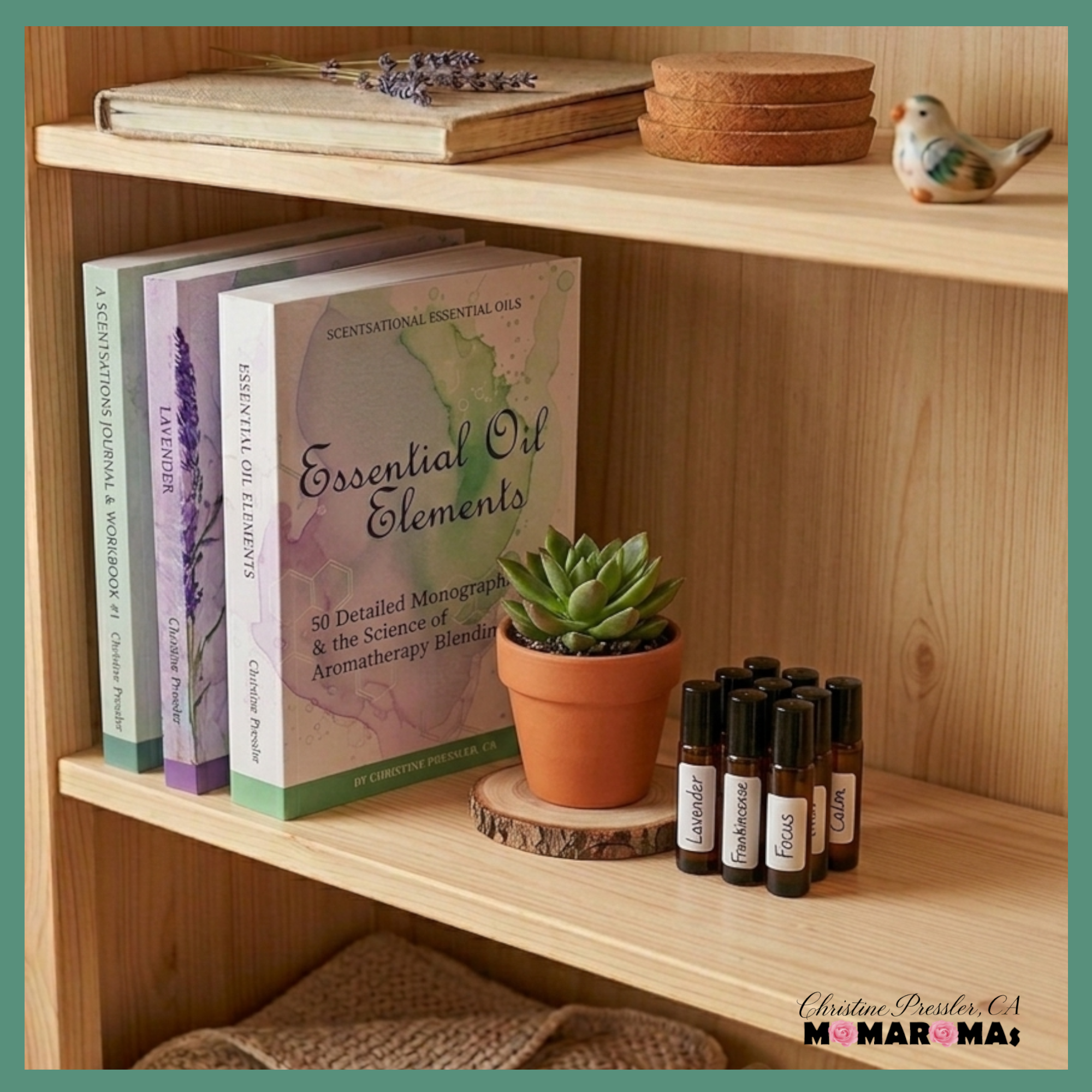 Books by Christine Pressler CA