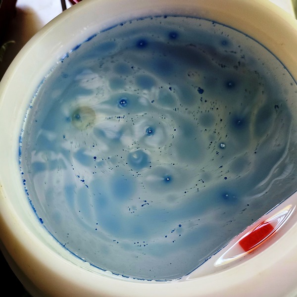 Blue German Chamomile essential oil in an ultrasonic diffuser reservoir
