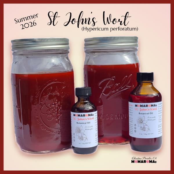 Bottles and jars of St Johns Wort Oil