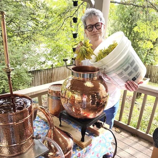 Making Goldenrod Hydrosol Liz Fulcher distilling hydrosol with an alembic still